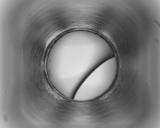 X0000102010928200807180907