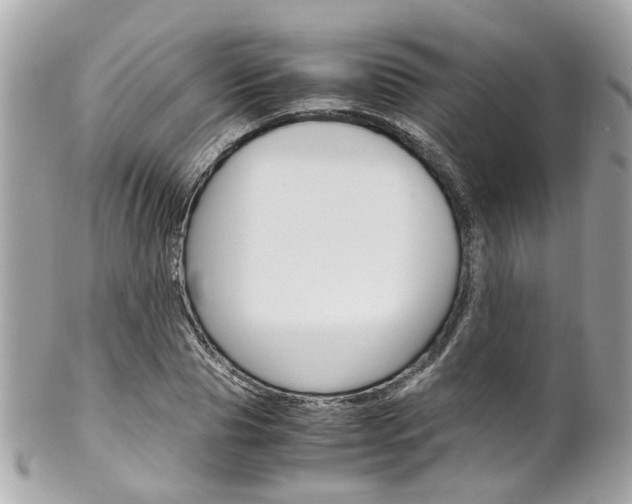 X0000102010929200807180907