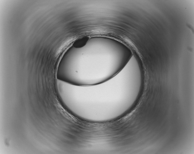 X0000102010930200807180908