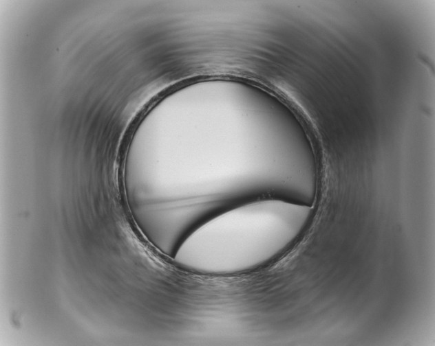 X0000102010932200807180908