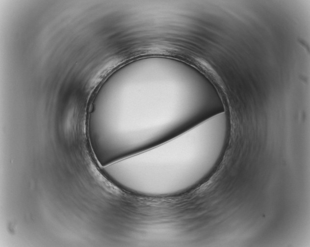 X0000102010938200807180908