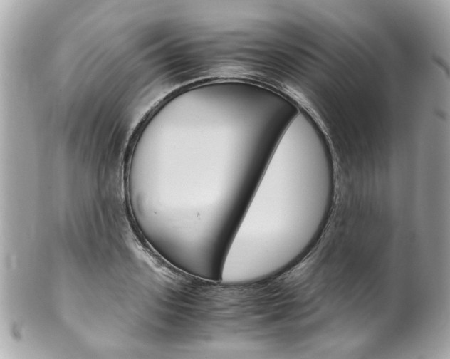 X0000102010939200807180908