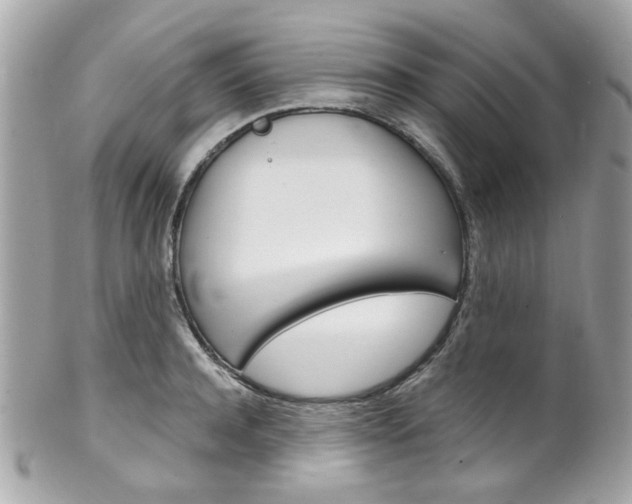 X0000102010944200807180908
