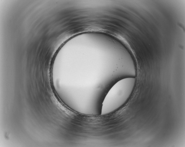 X0000102010947200807180908