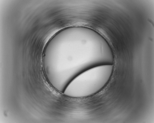 X0000102010948200807180908