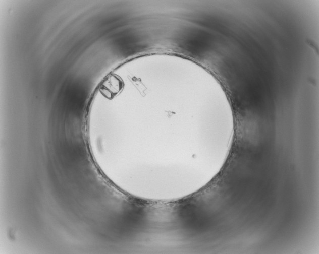 X0000102010950200807180908