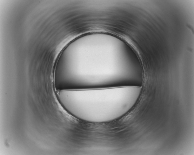 X0000102010951200807180908