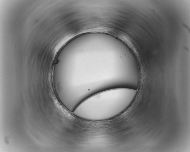 X0000102010952200807180908