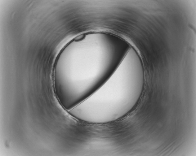 X0000102010959200807180908