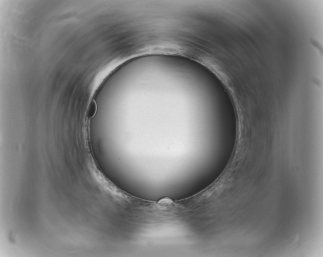 X0000102010960200807180908