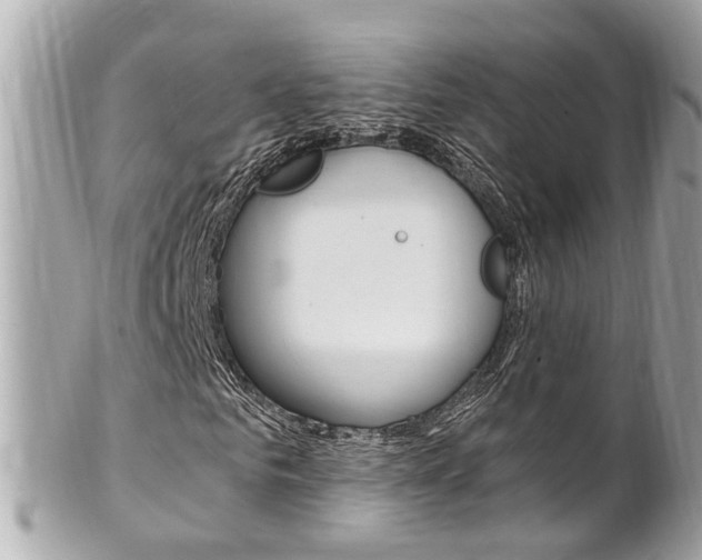 X0000102010961200807180907