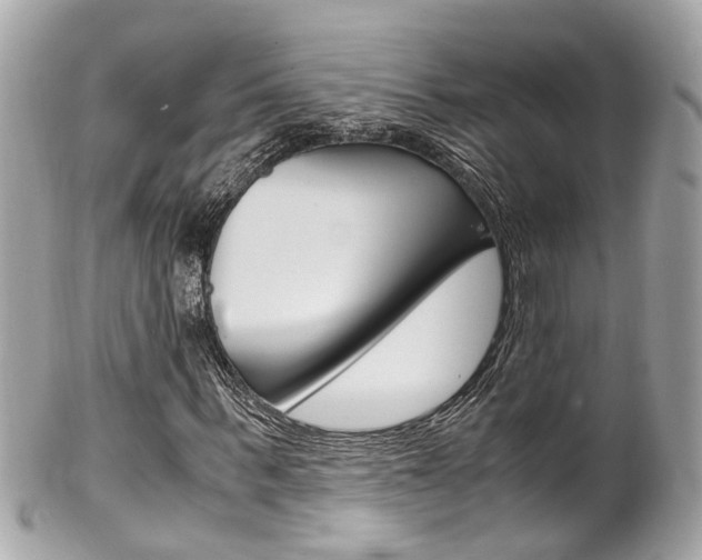 X0000102010963200807180907