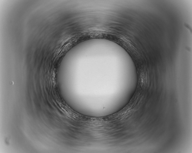 X0000102010964200807180907
