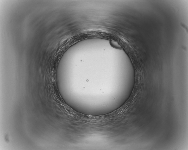 X0000102010965200807180907