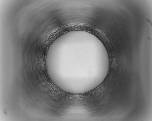 X0000102010966200807180907