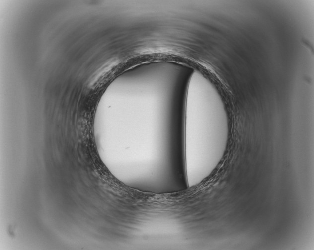 X0000102010967200807180907