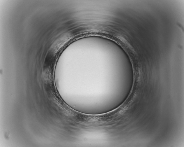 X0000102010969200807180907