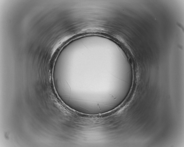 X0000102010973200807180907