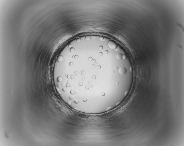 X0000102010974200807180907