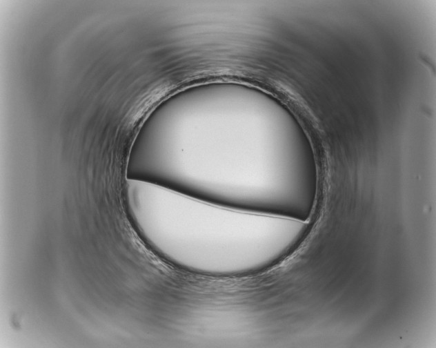 X0000102010977200807180907