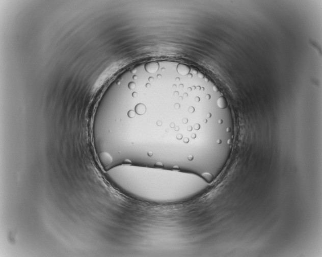 X0000102010978200807180907
