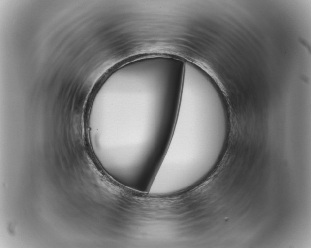 X0000102010980200807180907