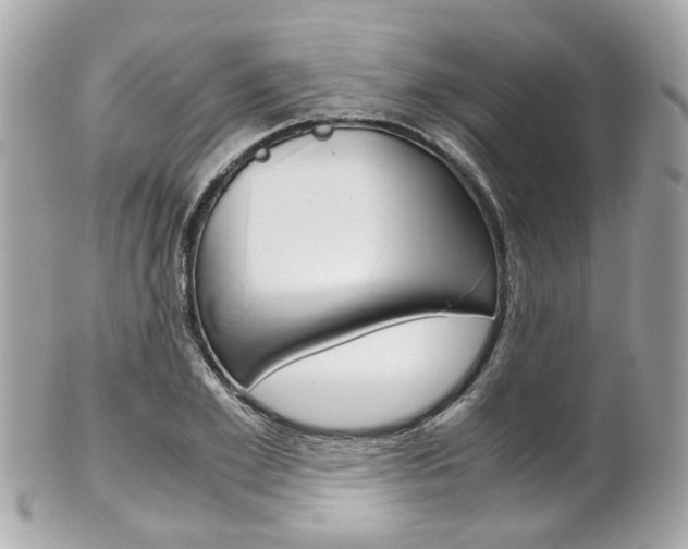 X0000102010981200807180907