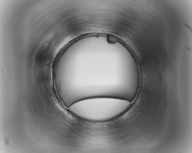 X0000102010982200807180907