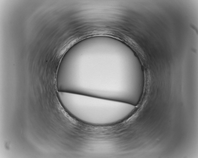 X0000102010985200807180907