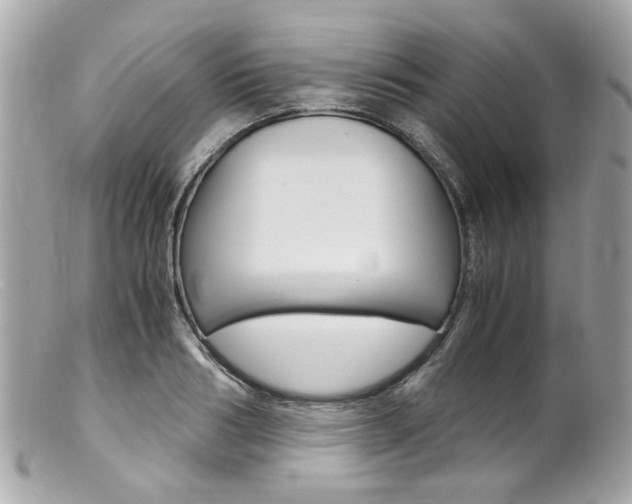 X0000102010986200807180907