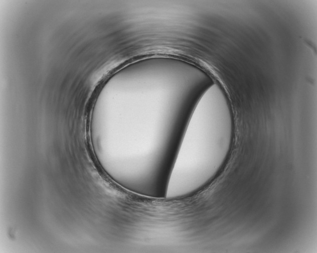 X0000102010987200807180907