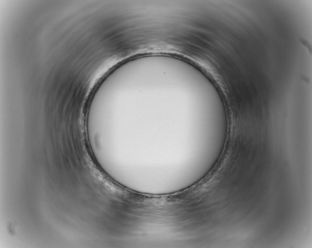 X0000102010990200807180907