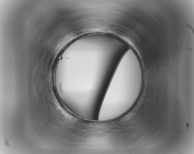 X0000102010991200807180907