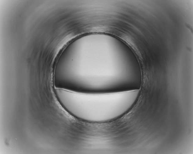 X0000102010992200807180907