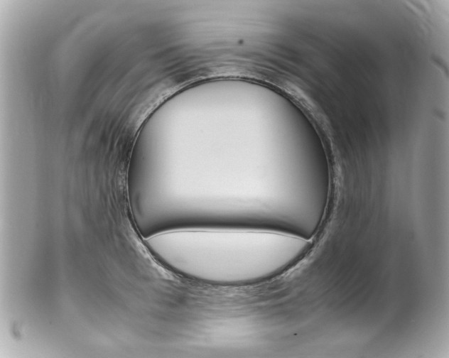 X0000102010993200807180907