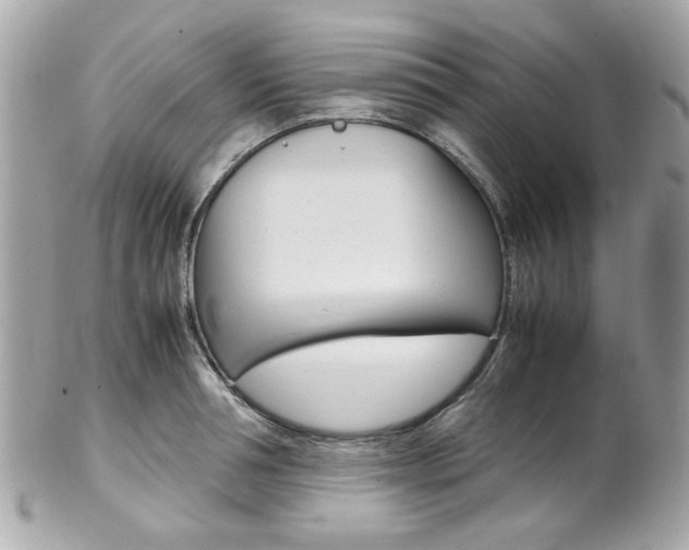 X0000102010994200807180907