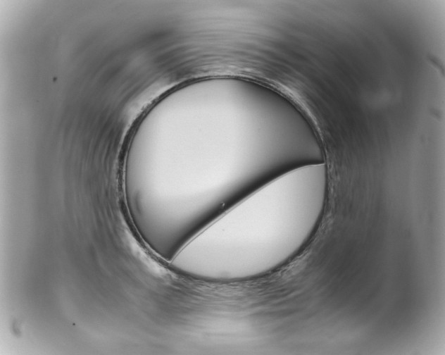 X0000102010995200807180907