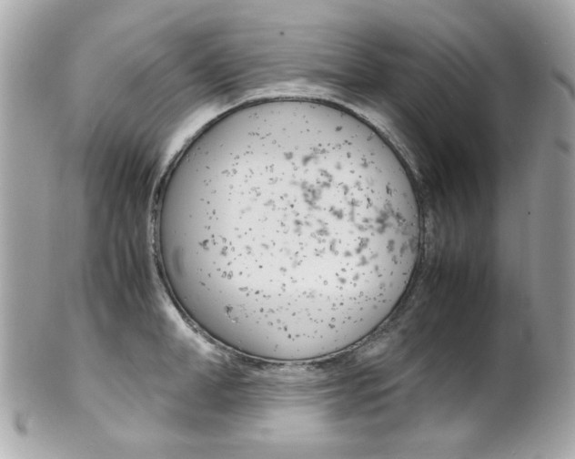 X0000102010998200807180907