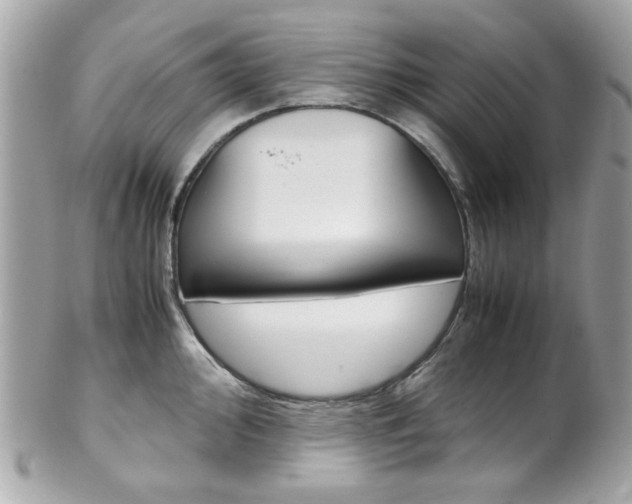 X0000102011000200807180907