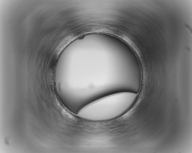 X0000102011001200807180907