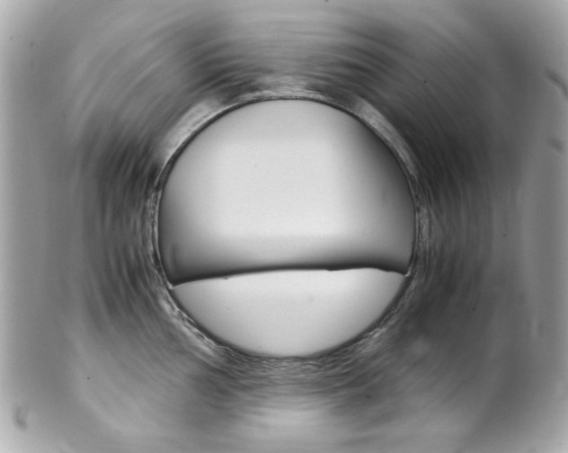 X0000102011002200807180907