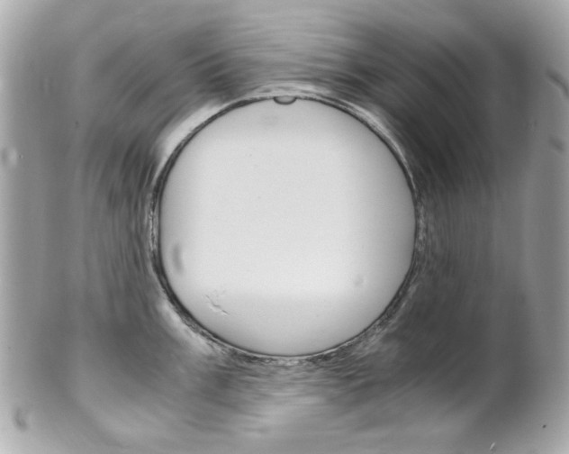 X0000102011003200807180907