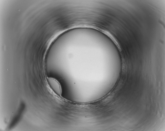 X0000102011004200807180907