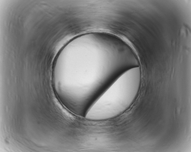 X0000102011005200807180907