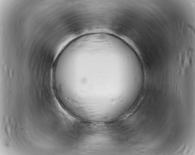 X0000102011006200807180907