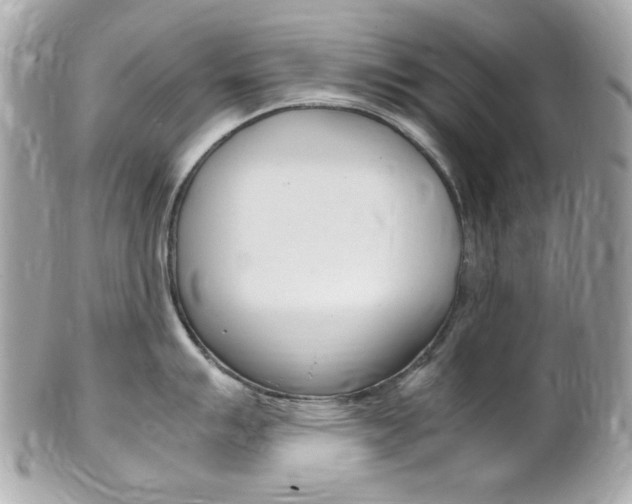 X0000102011007200807180907