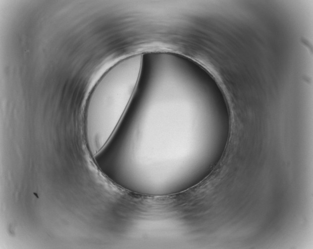 X0000102011008200807180907