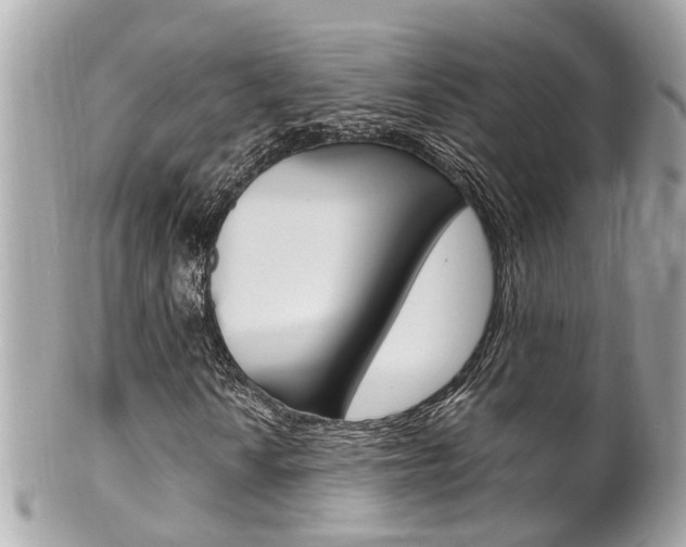 X0000102011010200807180906