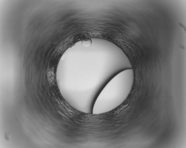 X0000102011011200807180906
