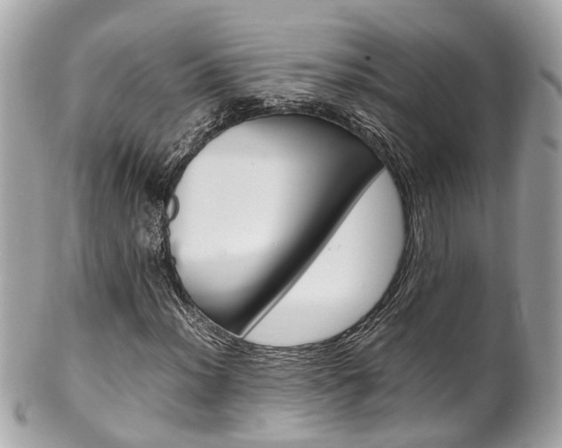 X0000102011012200807180906